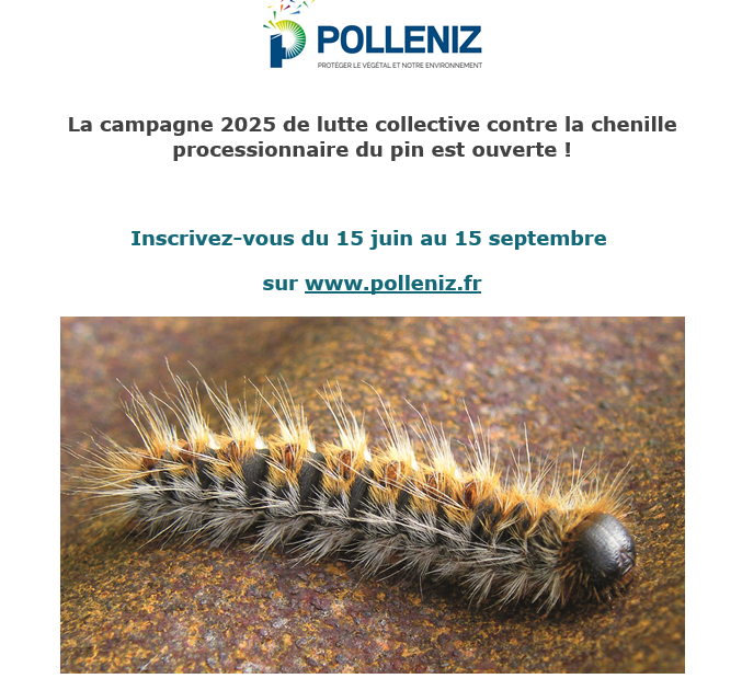 CHENILLE