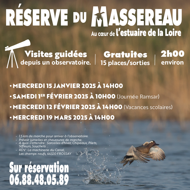 MASSEREAU CARRE0.75x